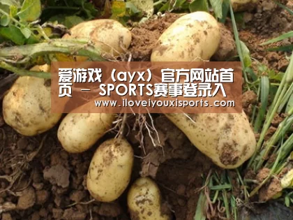 种植基地六