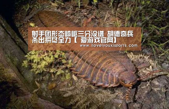  爱游戏官网